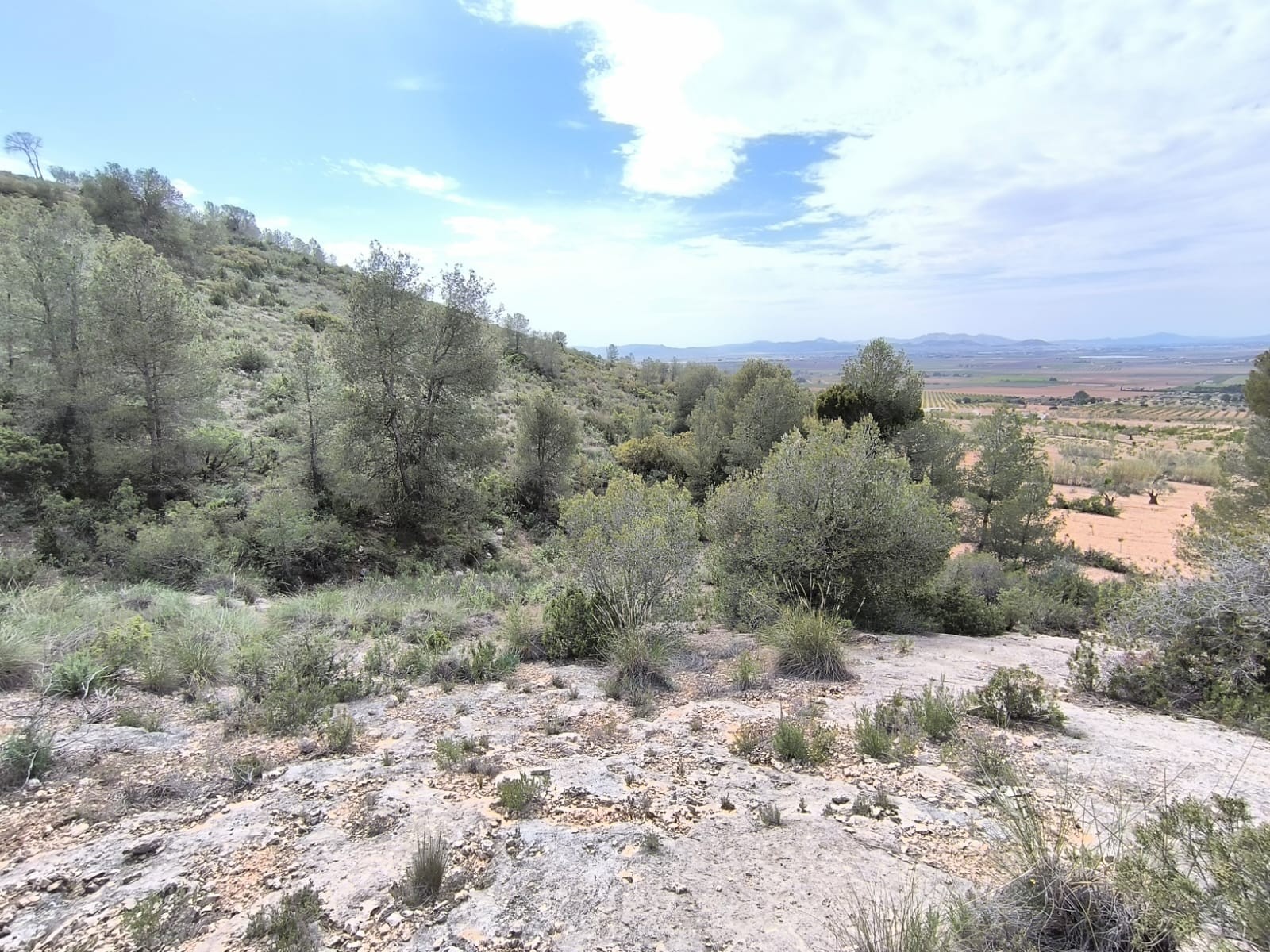 Kitchen in land for sale in Yecla