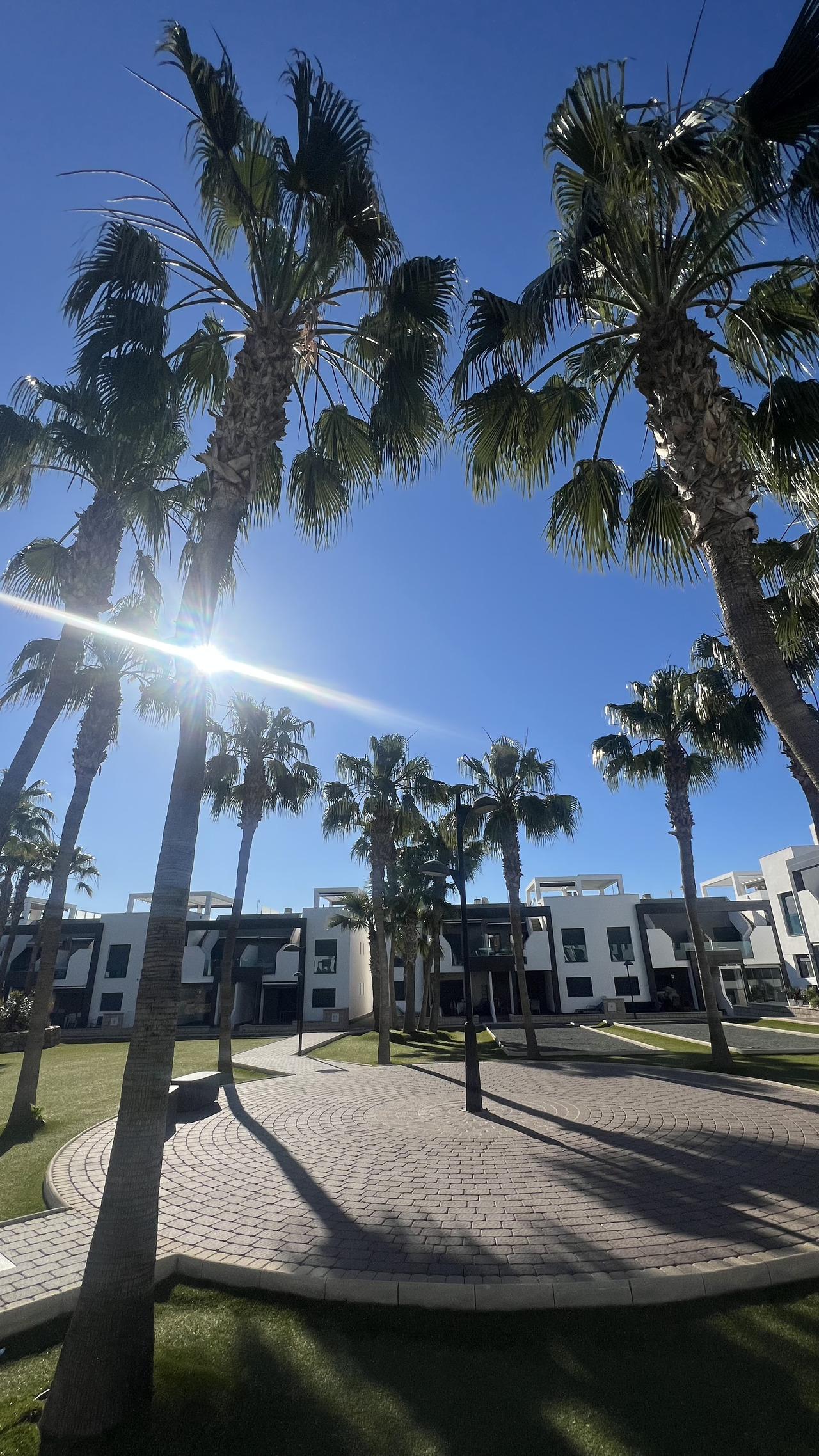 Terrace in apartment for sale in La Zenia