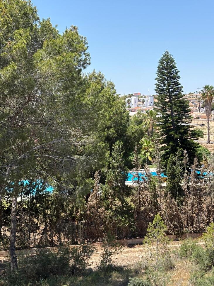 Terrace in apartment for sale in Lo Pepin