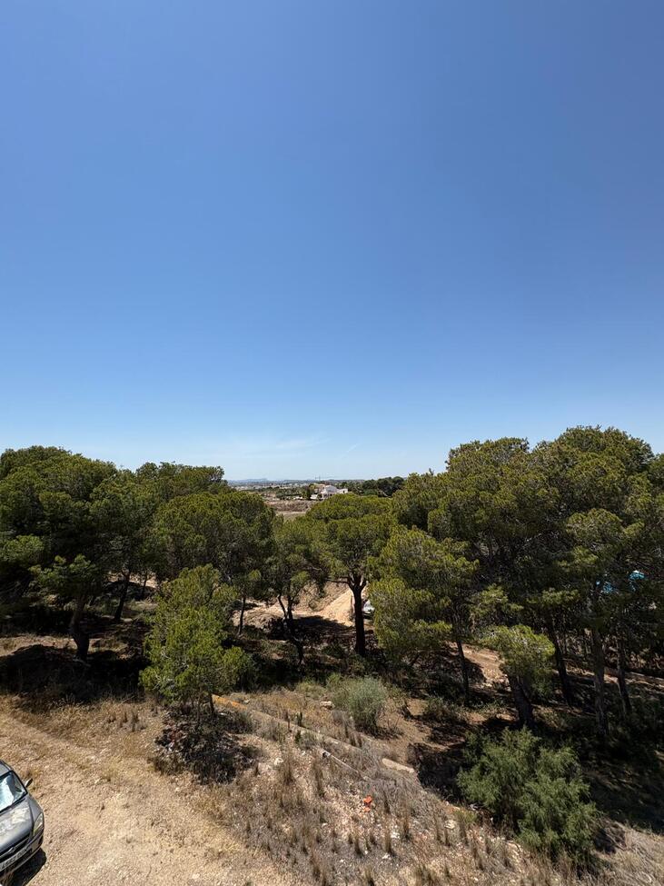 Pool area in apartment for sale in Lo Pepin