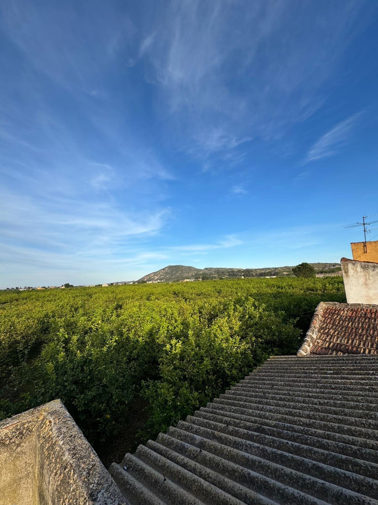 Terrace in terraced for sale in Orihuela
