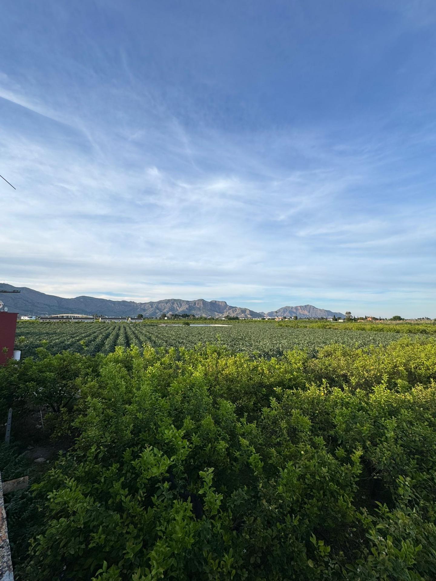 Pool area in terraced for sale in Orihuela
