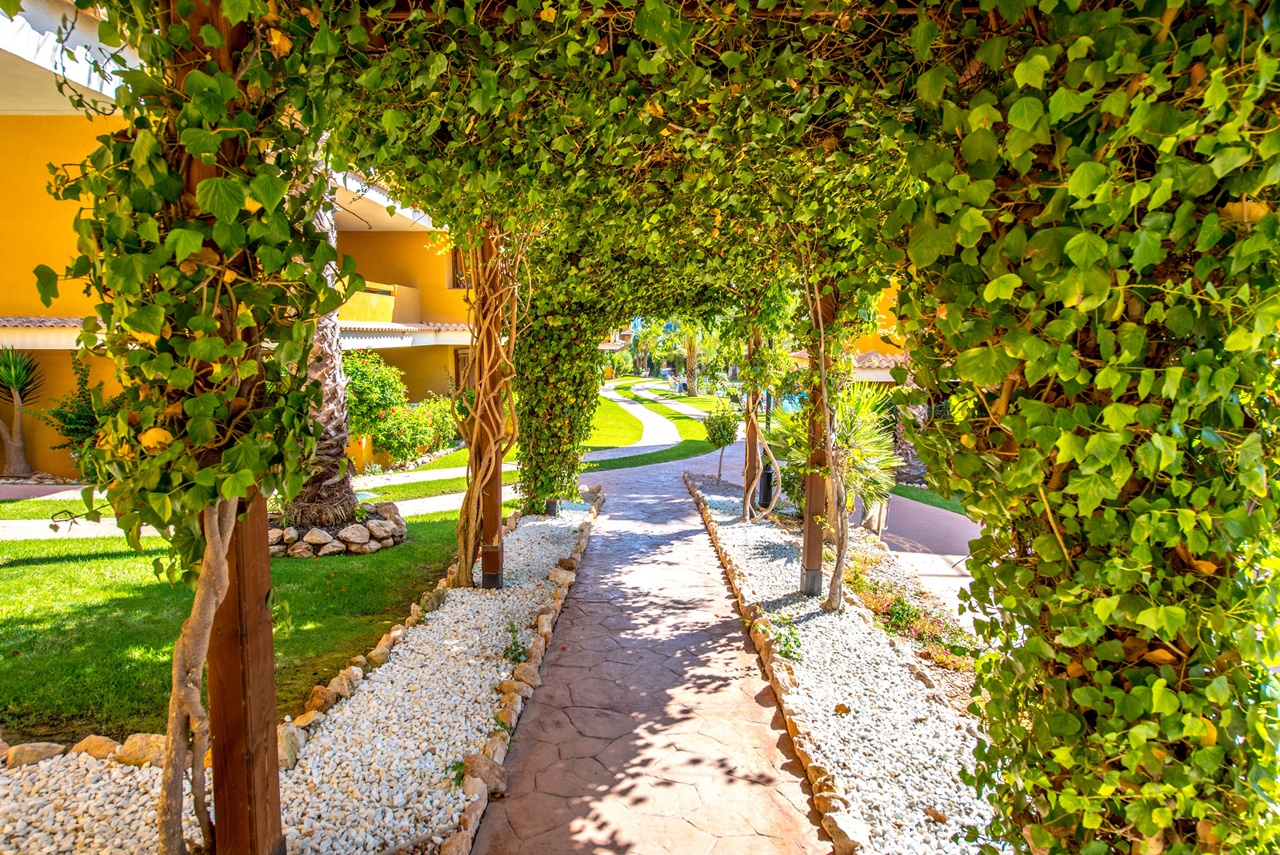 Terrace in apartment for sale in Torrevieja