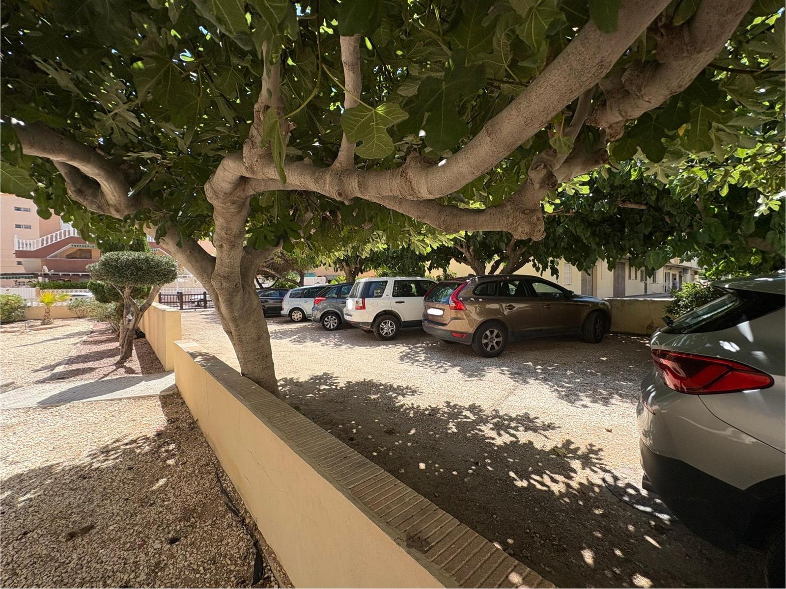 Master bedroom in apartment for sale in Torrevieja