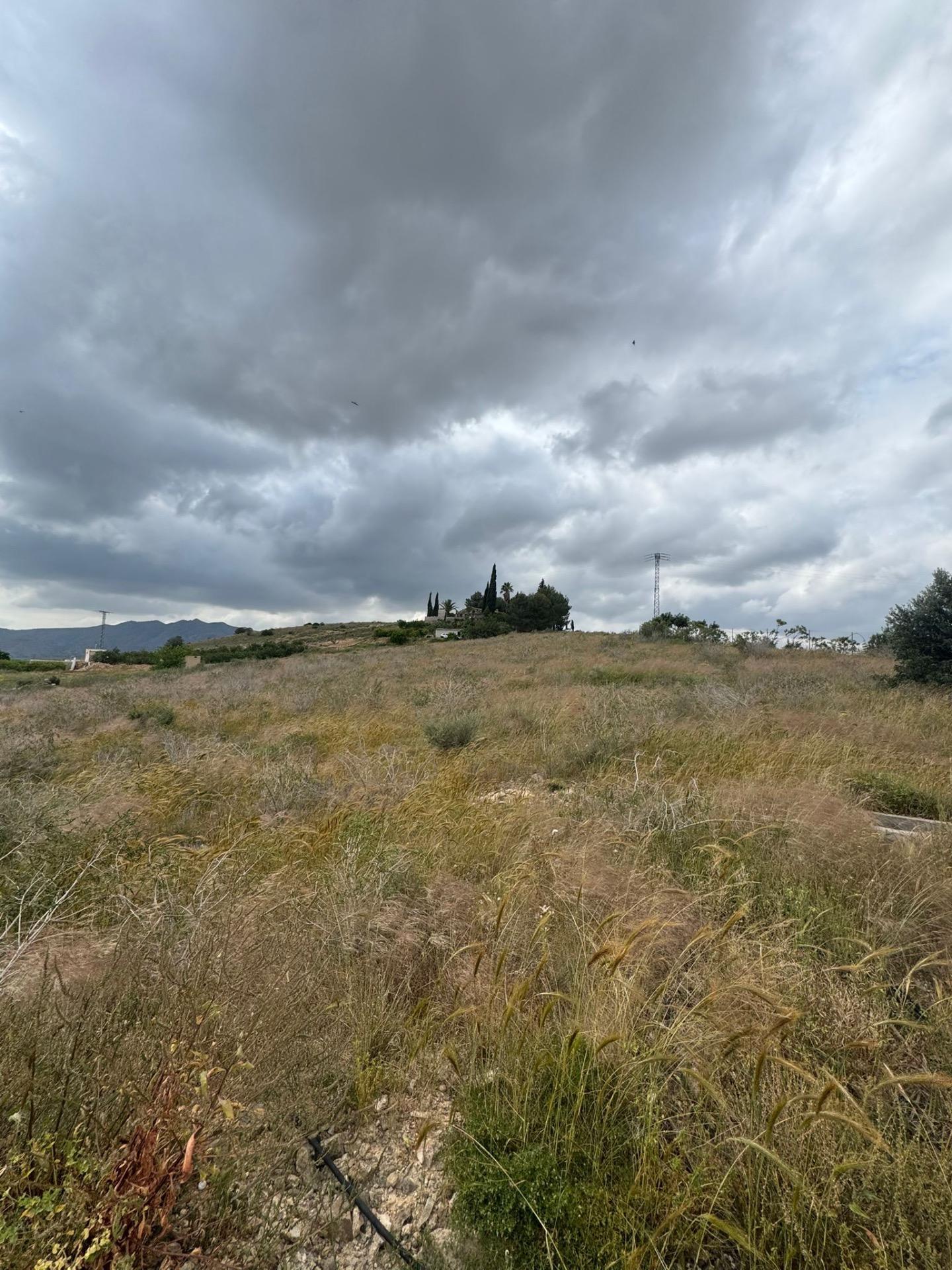 Exterior view in finca for sale in Abanilla