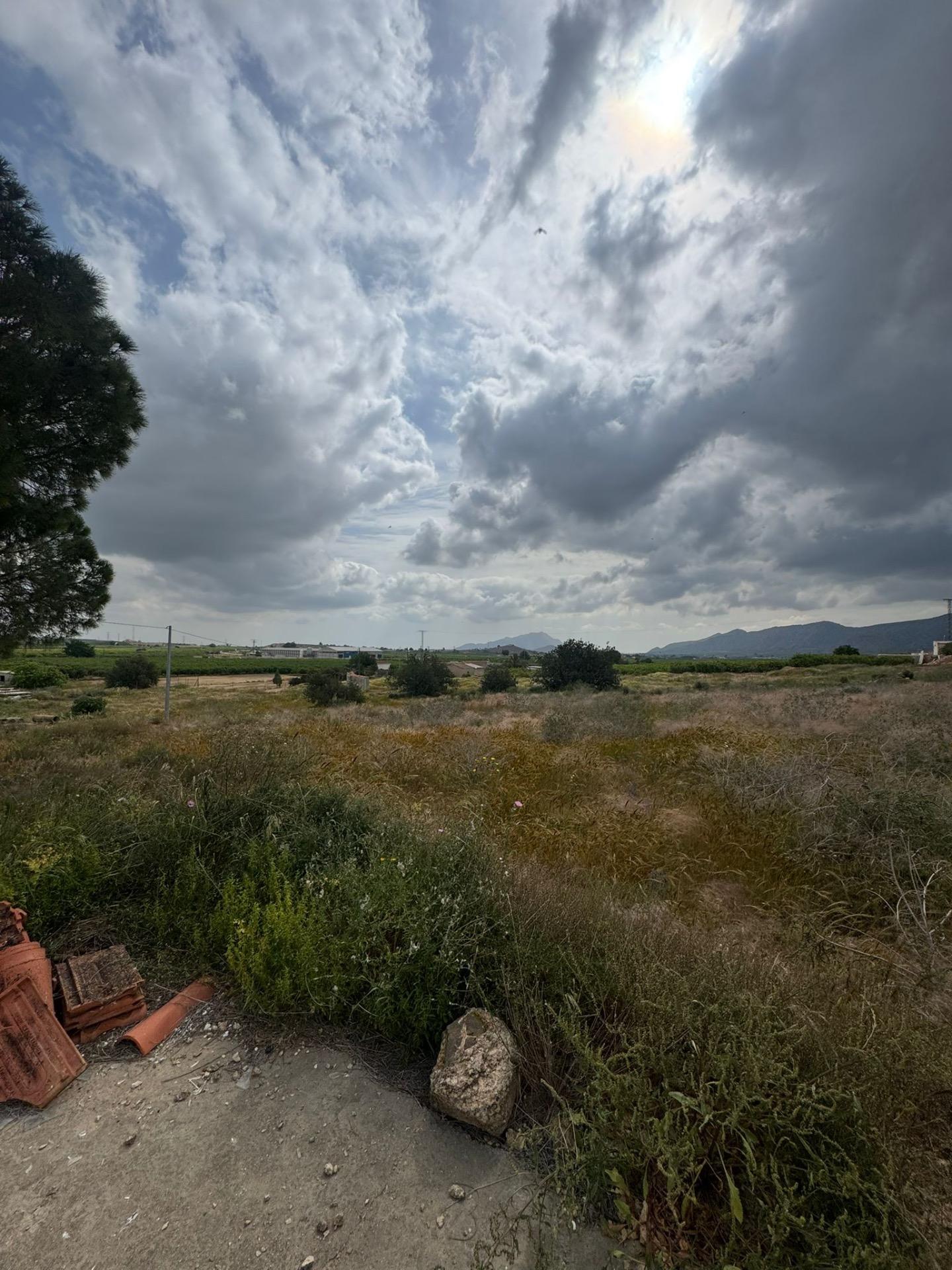 Garden in finca for sale in Abanilla