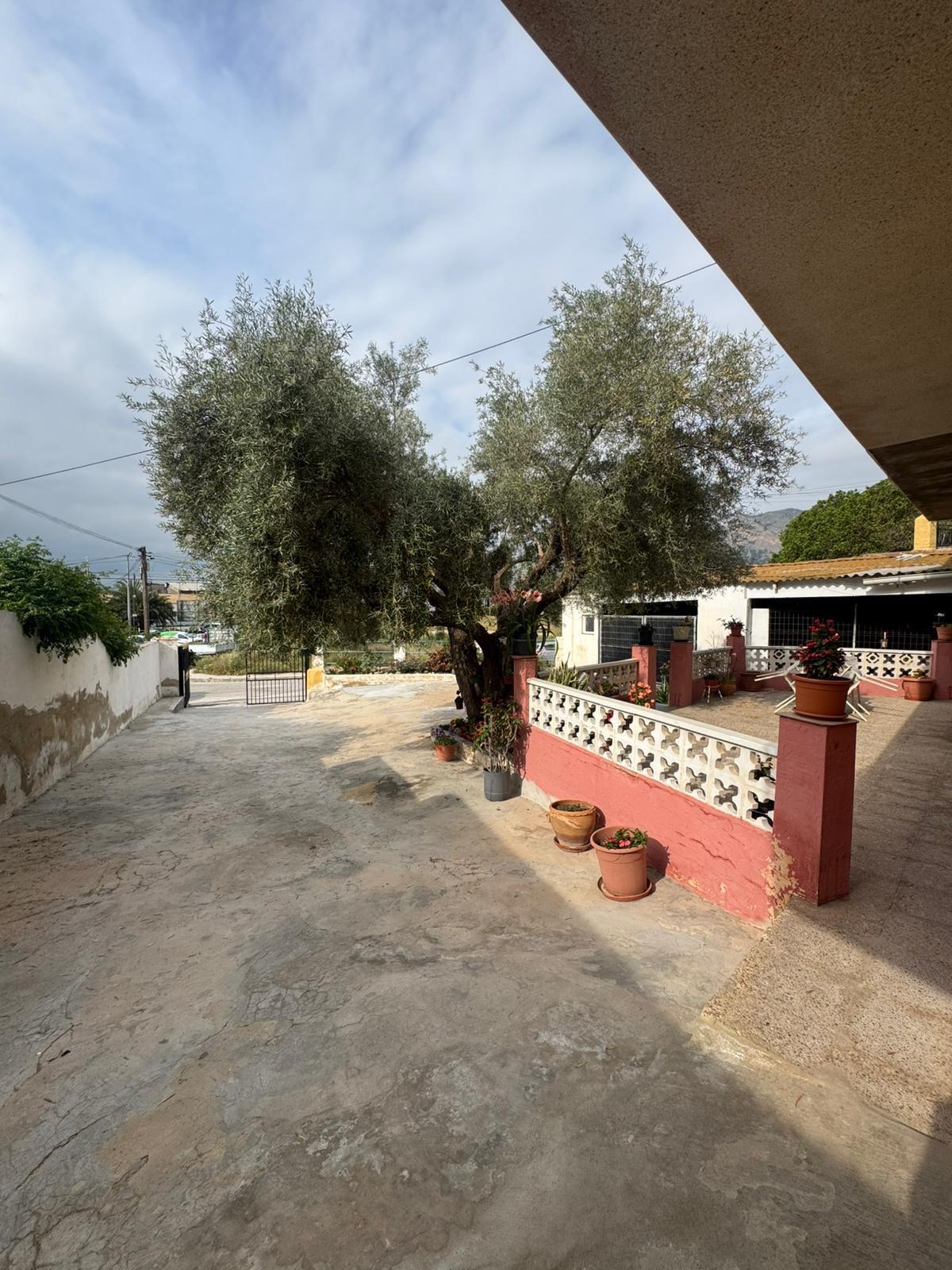 Garden in terraced for sale in Orihuela