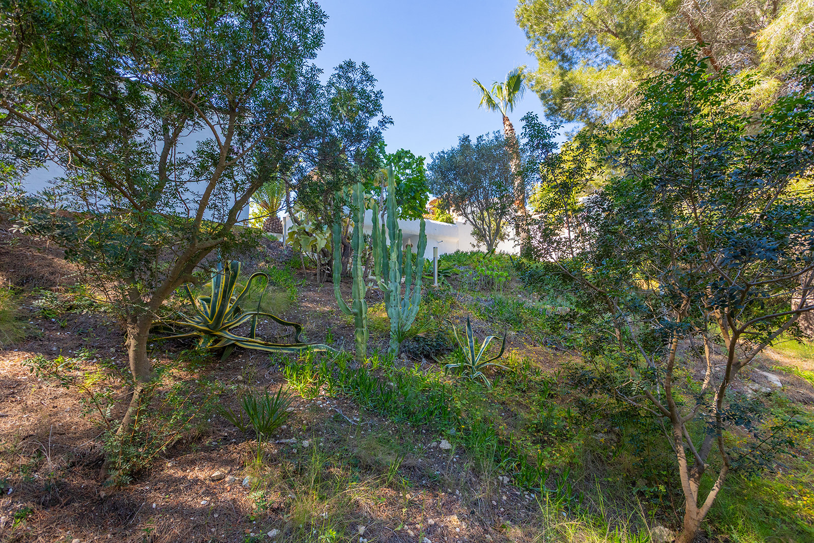 Garden in villa for sale in Orihuela