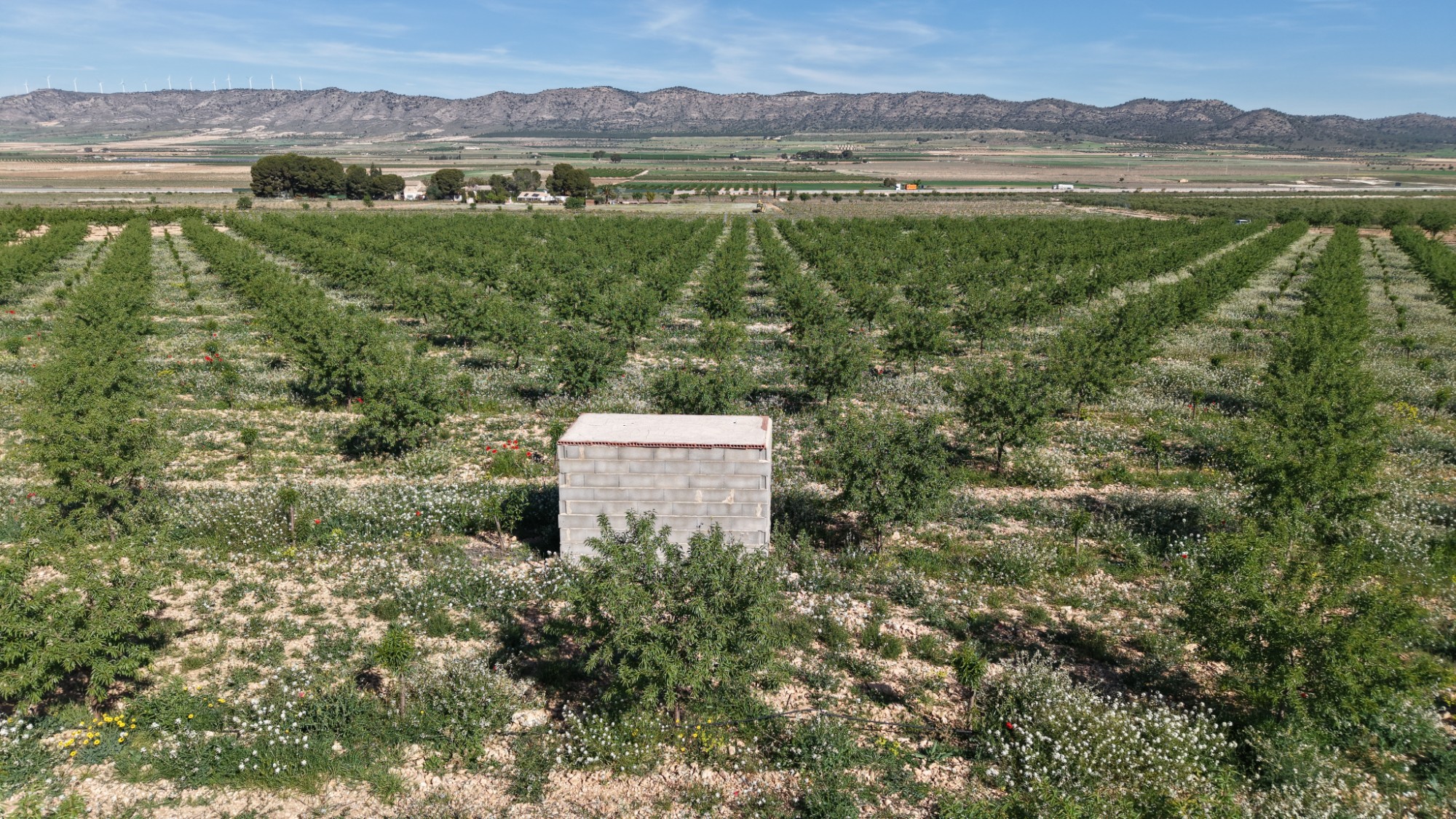 Terrace in land for sale in Yecla