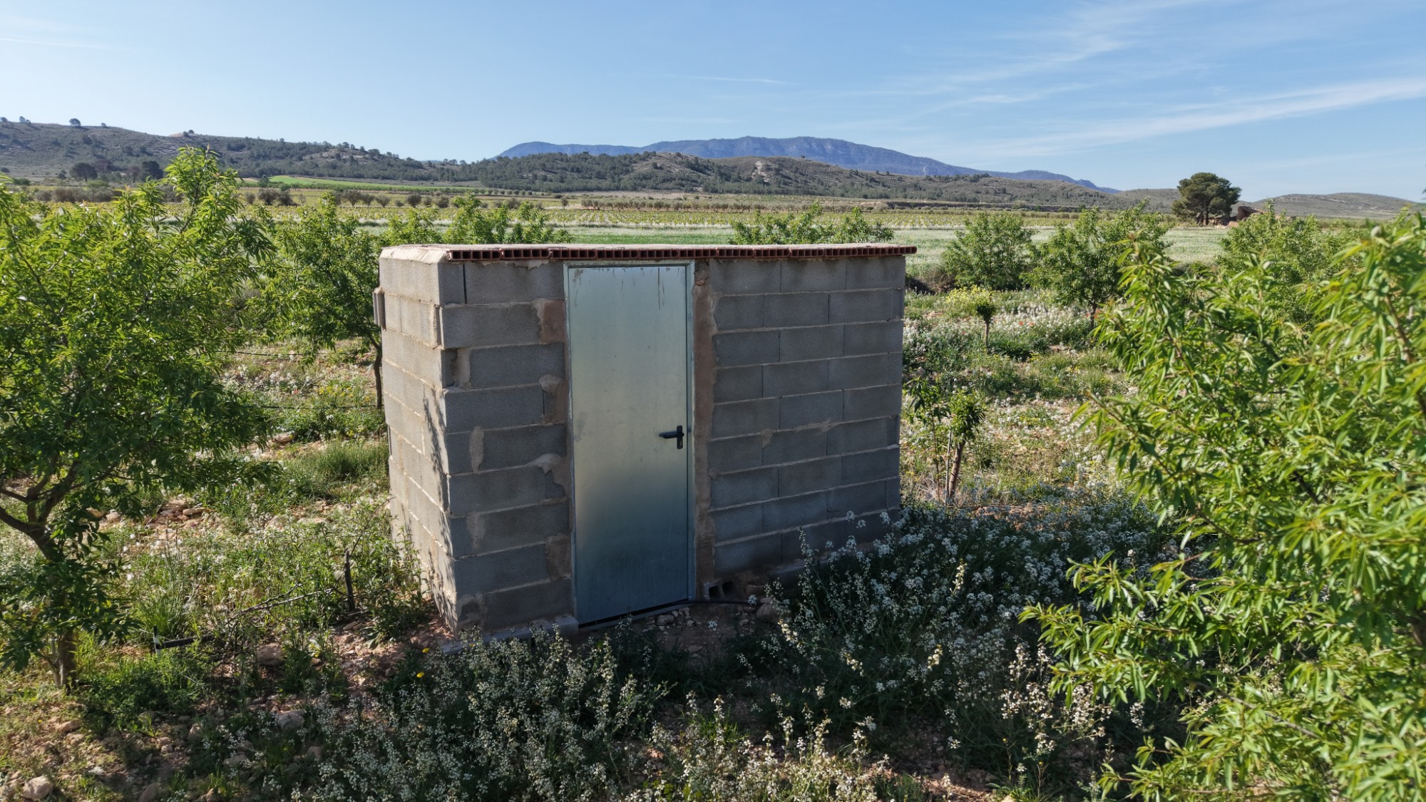 Garden in land for sale in Yecla