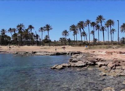 Terrace in penthouse for sale in Torrevieja