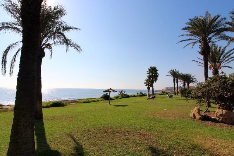 Pool area in penthouse for sale in Torrevieja