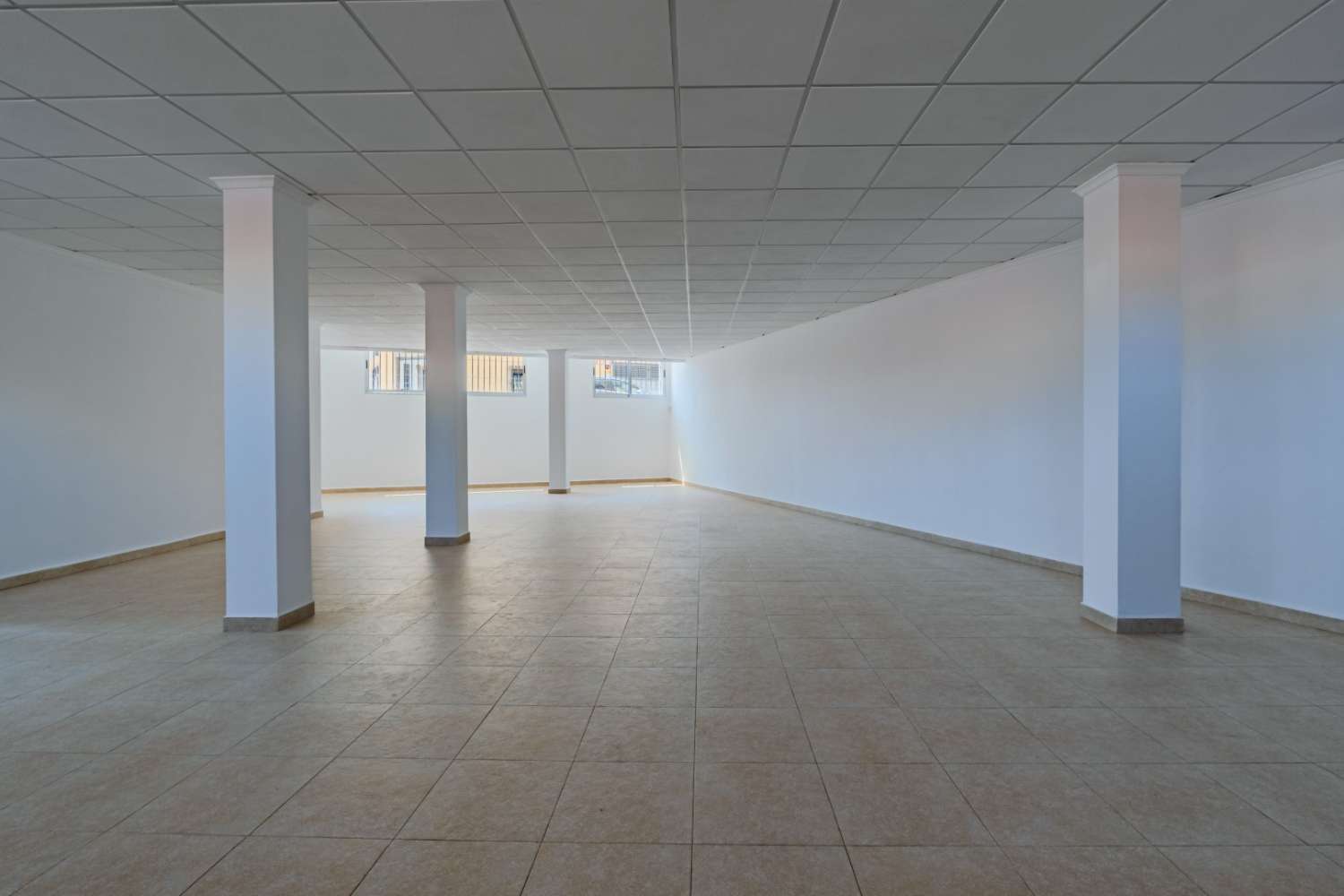 Garden in commercial for sale in Torrevieja