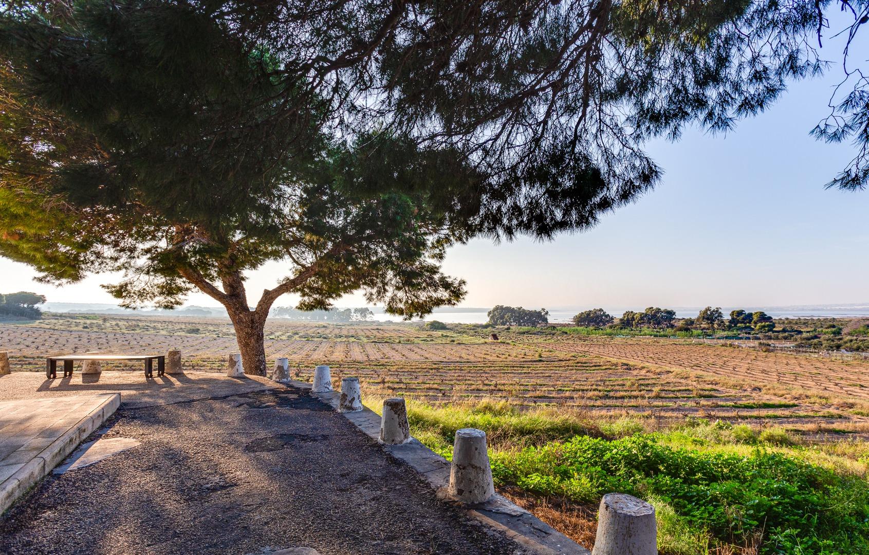 Exterior view in bungalow for sale in Torrevieja