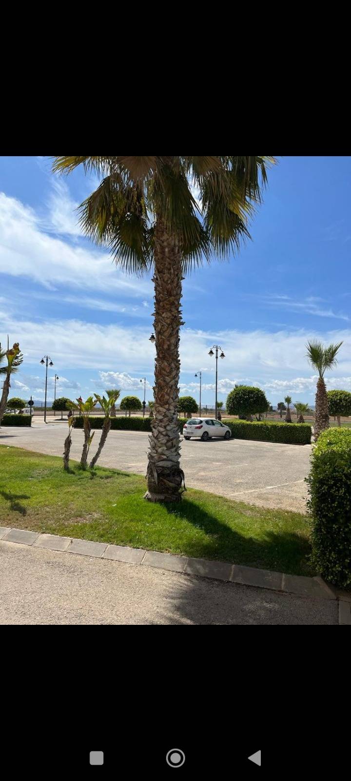 Terrace in apartment for sale in Torre Pacheco