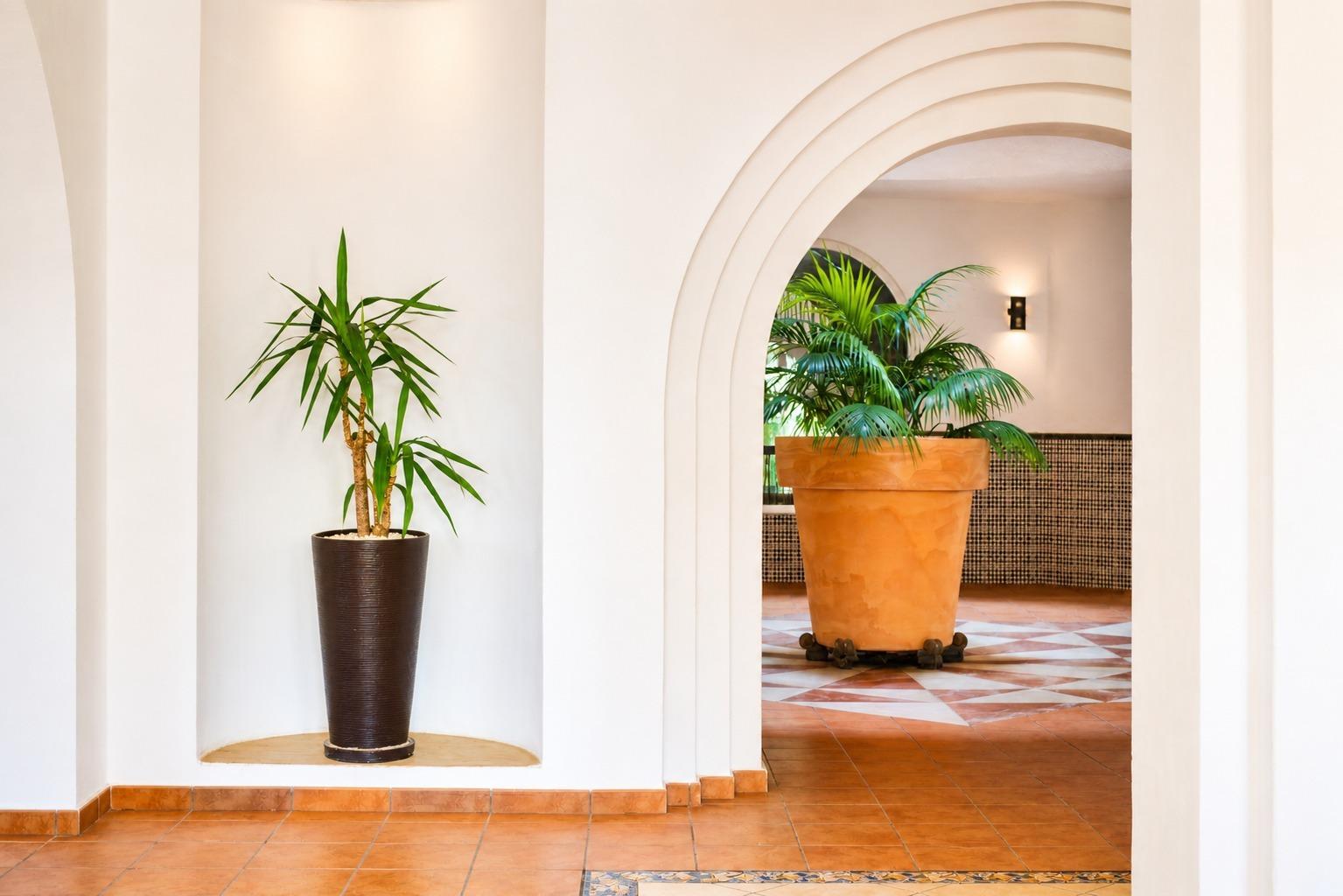 Pool area in apartment for sale in Torrevieja