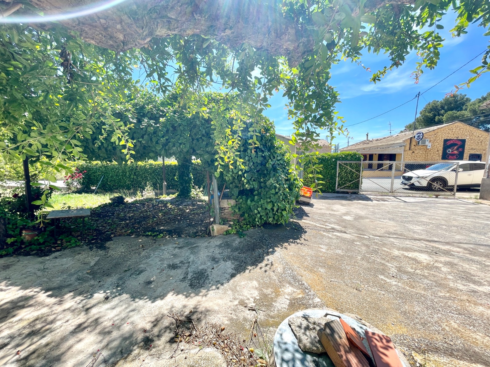 Garden in villa for sale in La Romana
