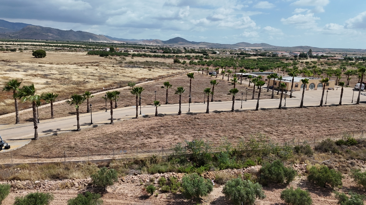 Garden in villa for sale in Fuente-Alamo de Murcia