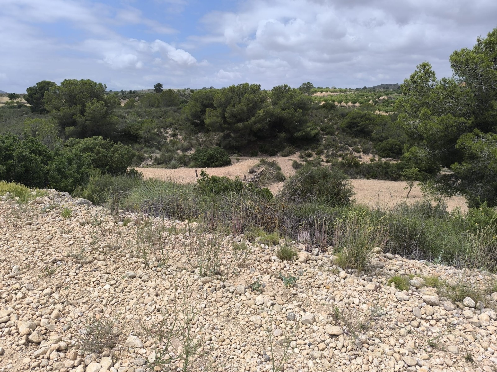 Living room in land for sale in Pinoso