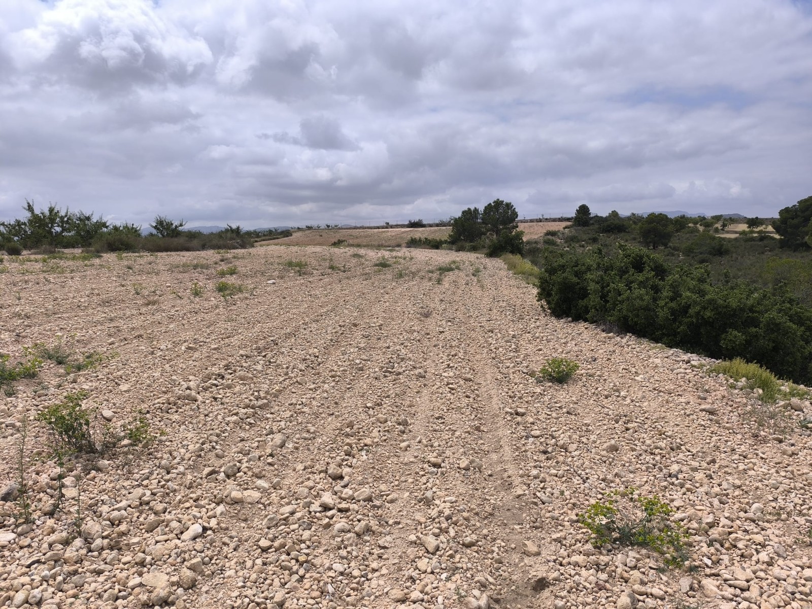 Kitchen in land for sale in Pinoso