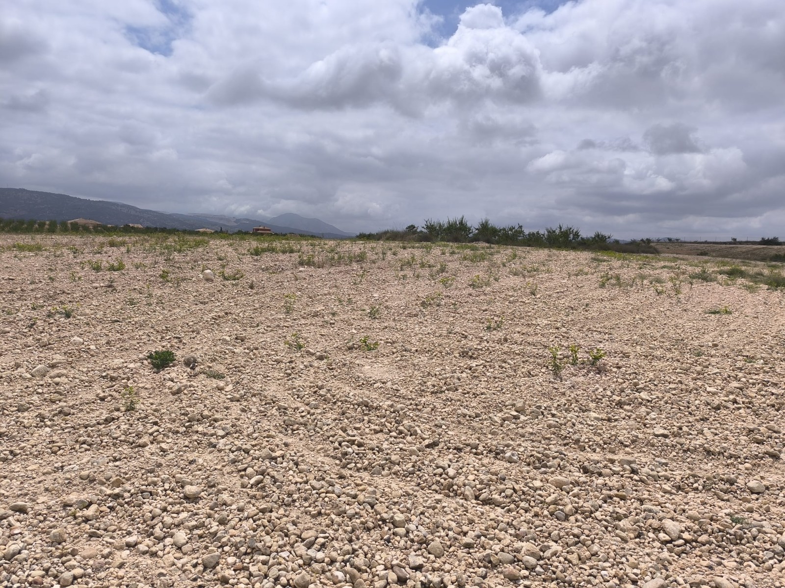 Master bedroom in land for sale in Pinoso