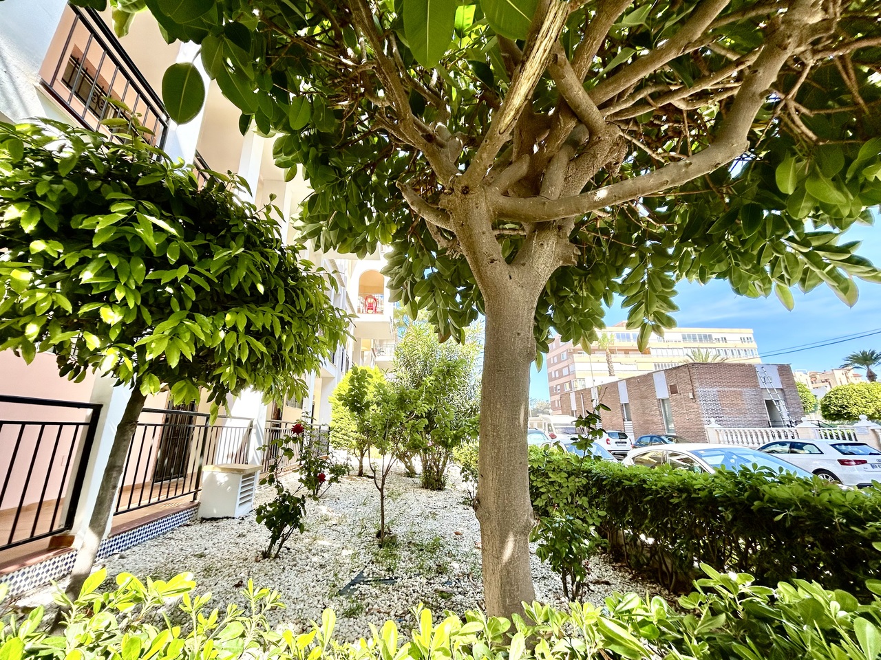 Terrace in apartment for sale in Torrevieja