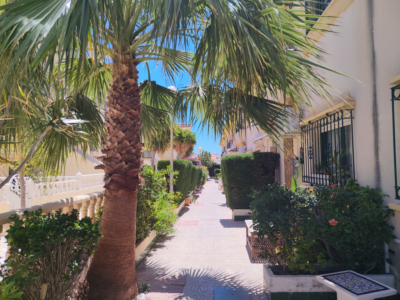 Pool area in terraced for sale in La Zenia