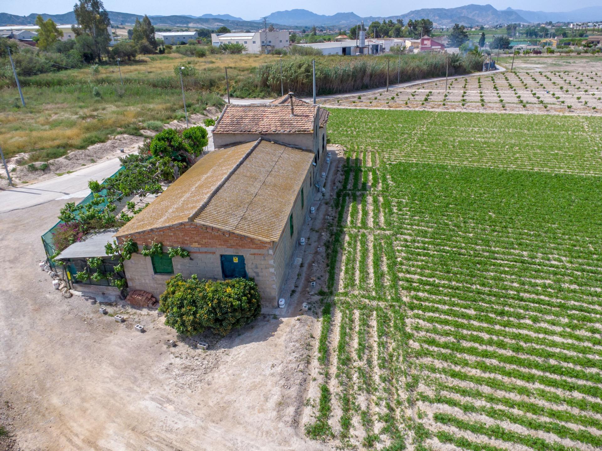 Pool area in finca for sale in Orihuela