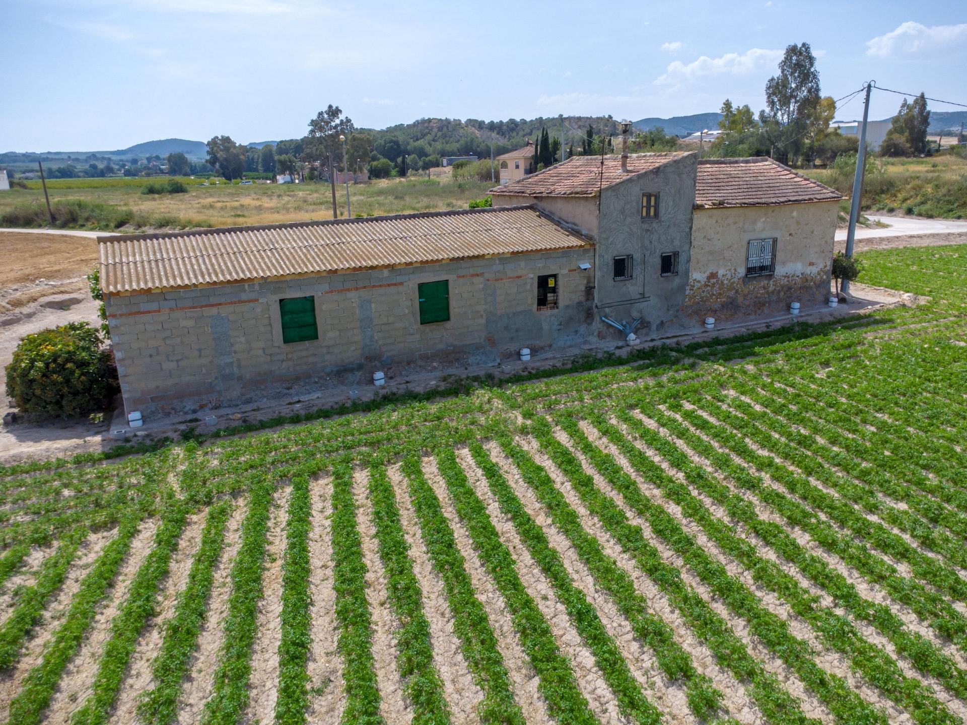 Garden in finca for sale in Orihuela