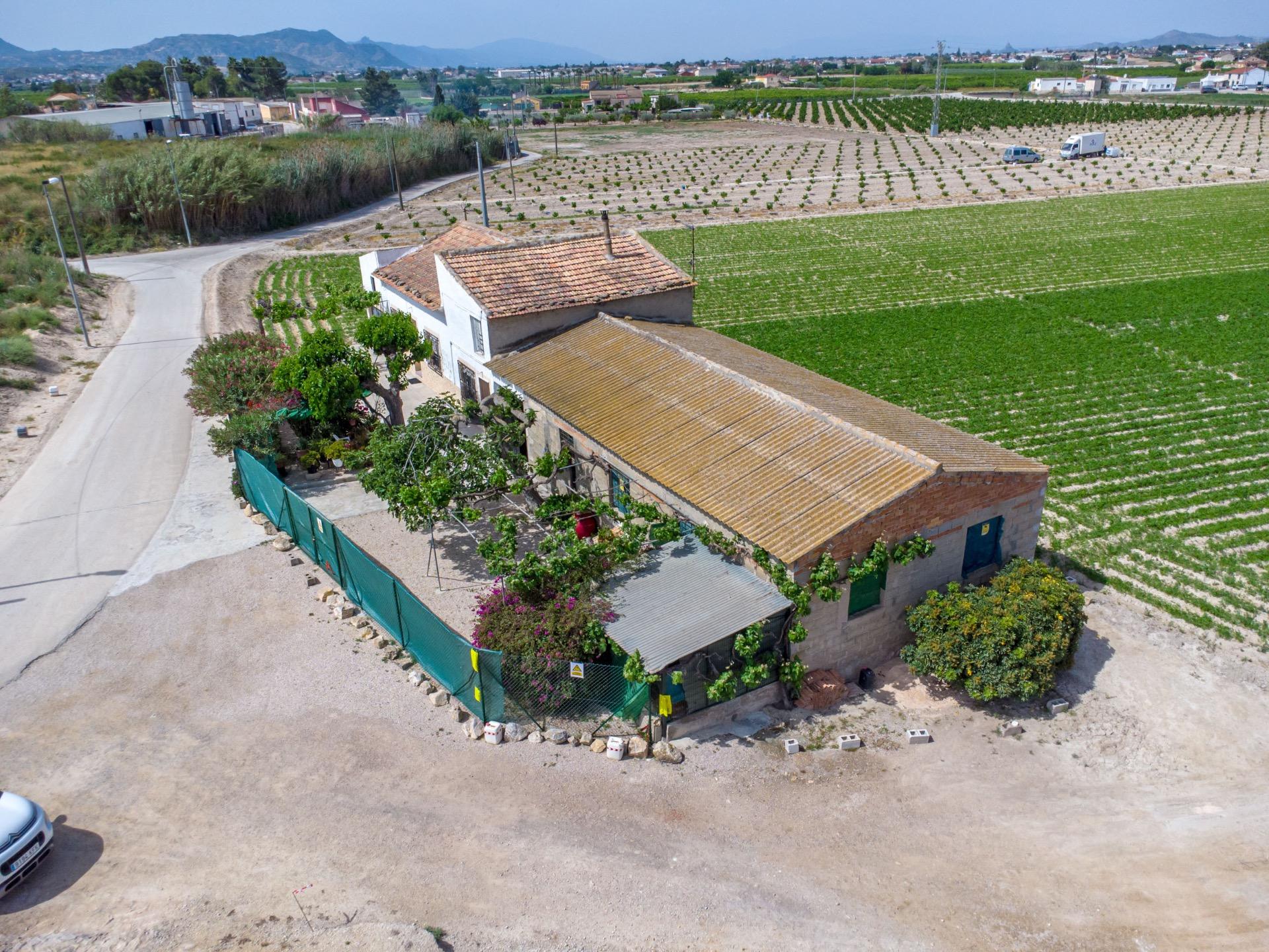 Exterior view in finca for sale in Orihuela