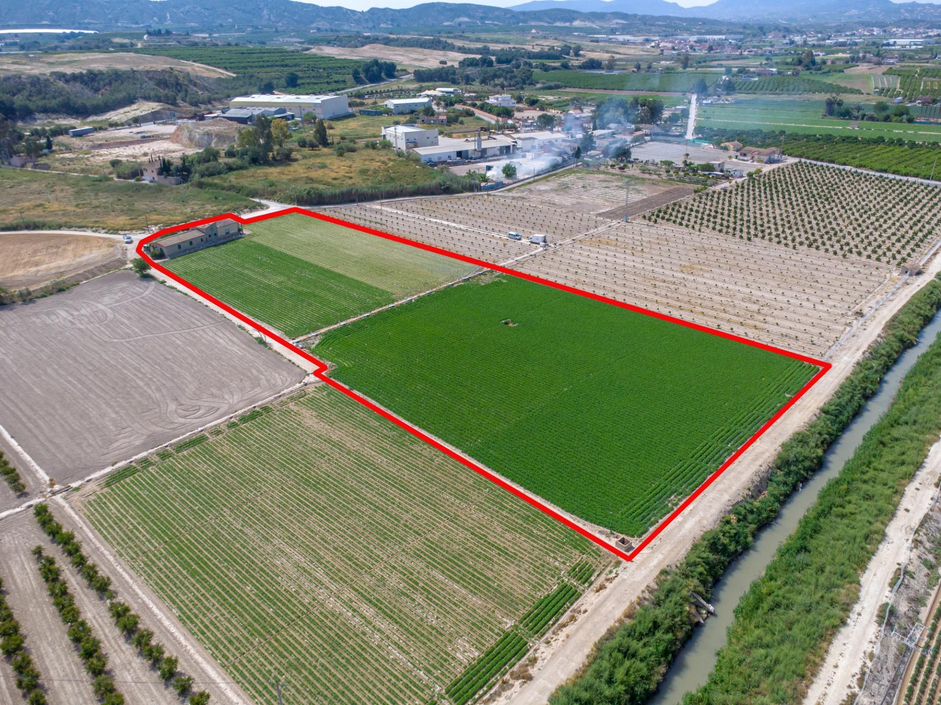Terrace in finca for sale in Orihuela