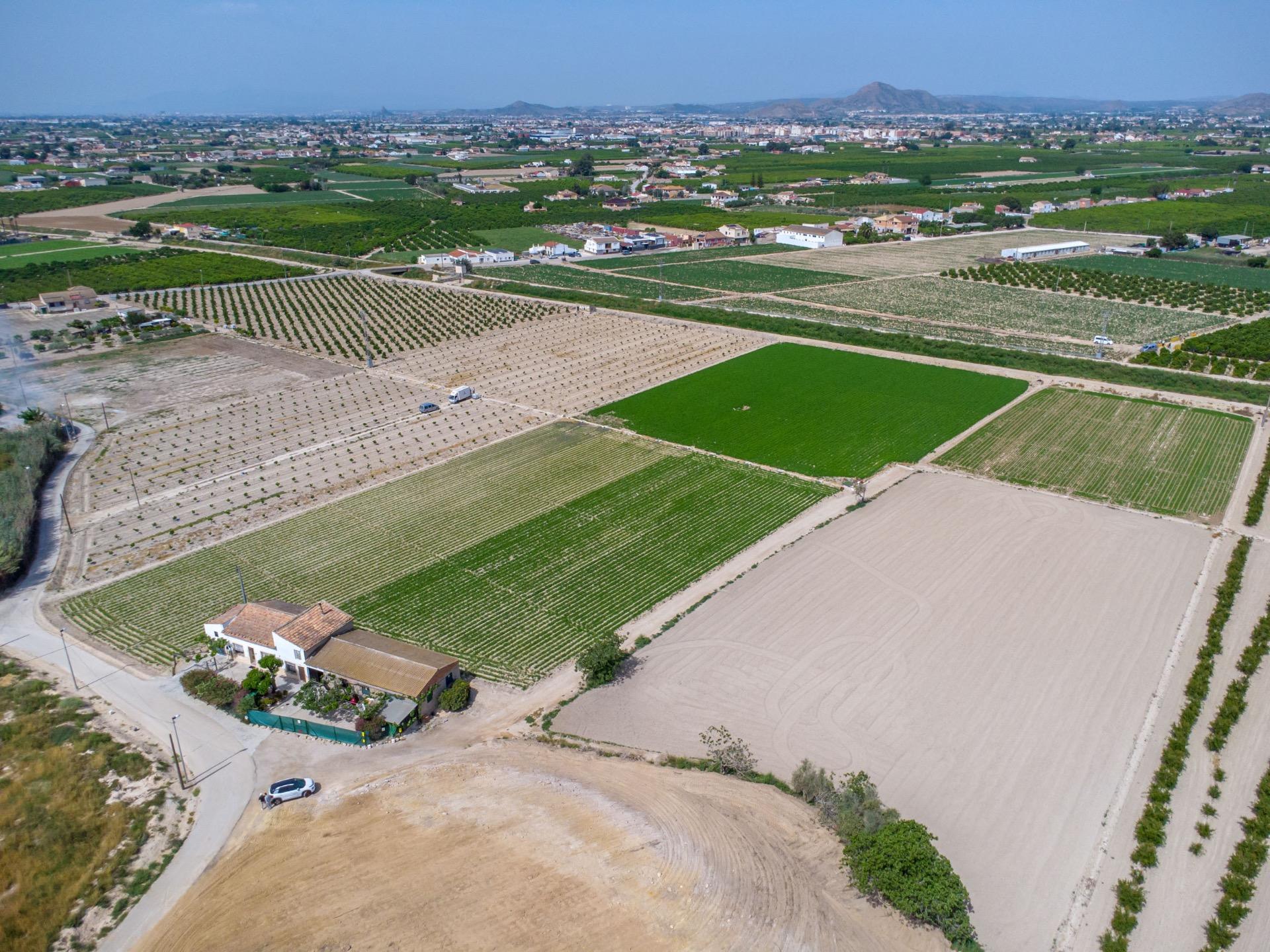 Pool area in finca for sale in Orihuela