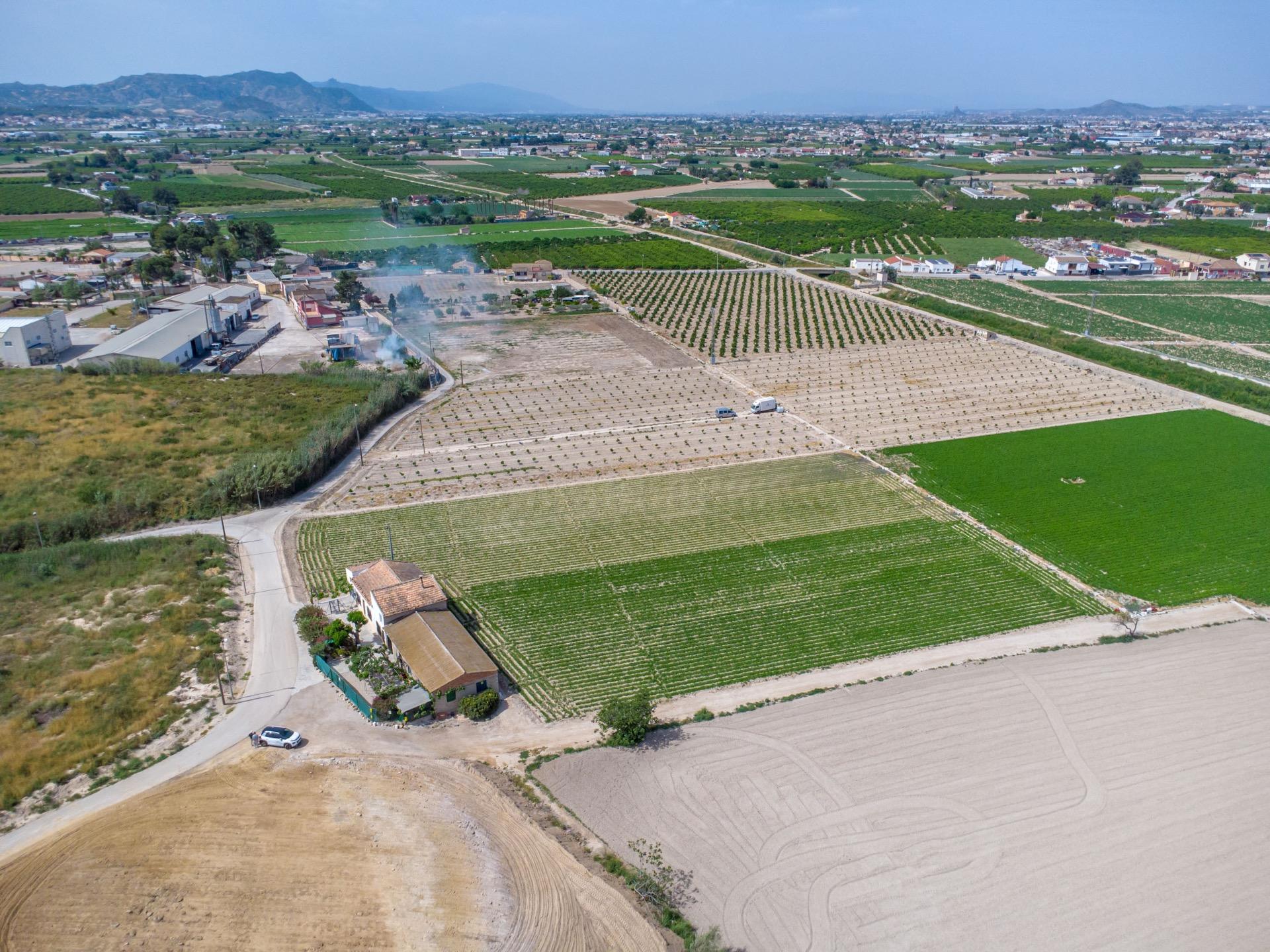 Garden in finca for sale in Orihuela