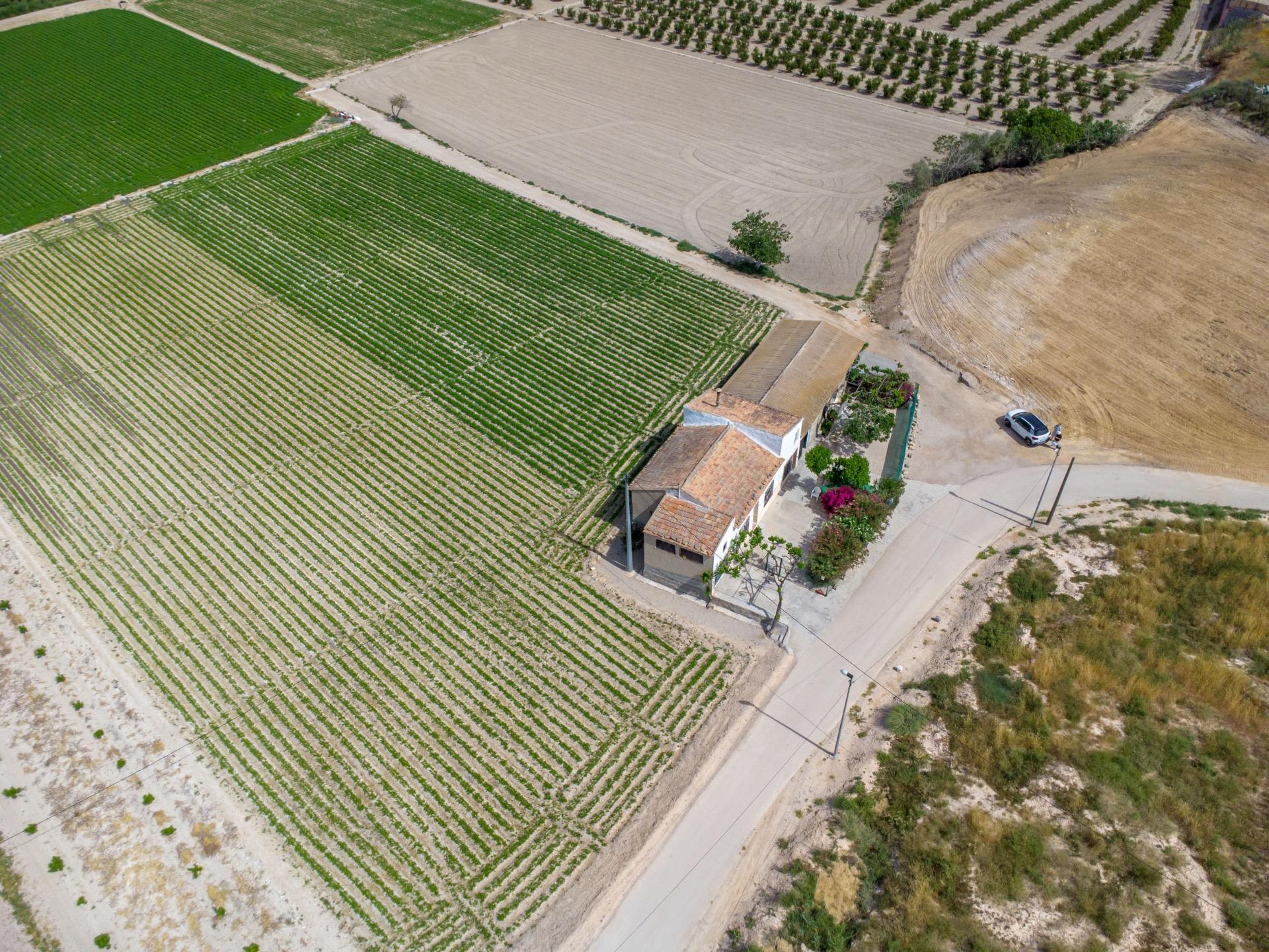 Garden in finca for sale in Orihuela