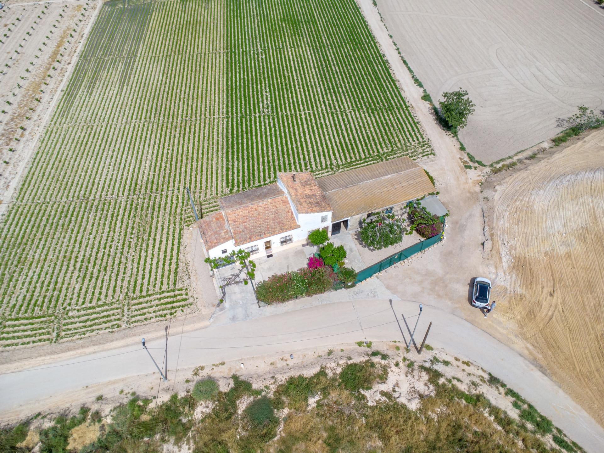 Exterior view in finca for sale in Orihuela