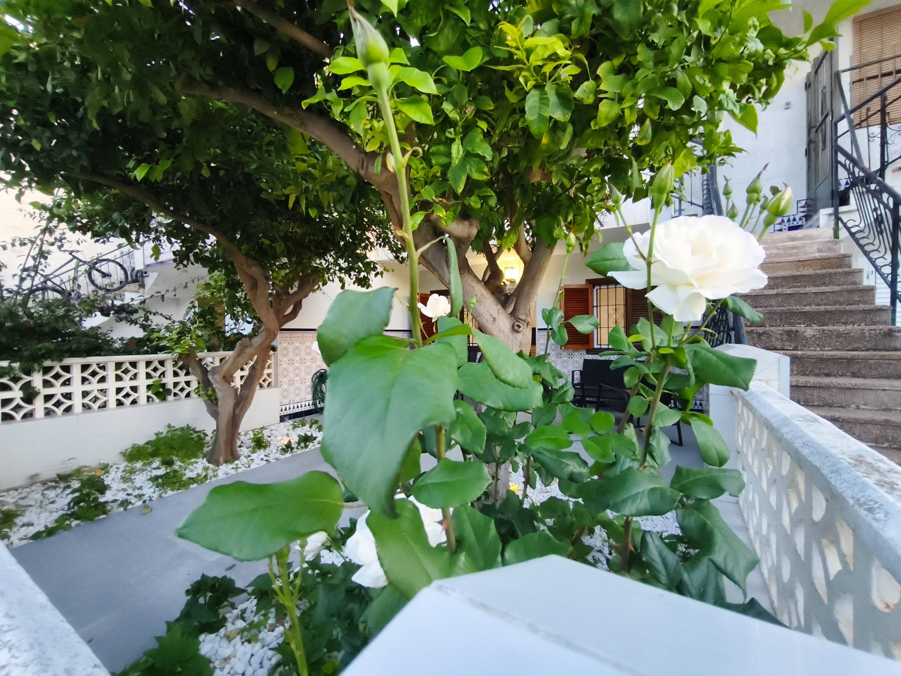 Bathroom in bungalow for sale in San Pedro del Pinatar