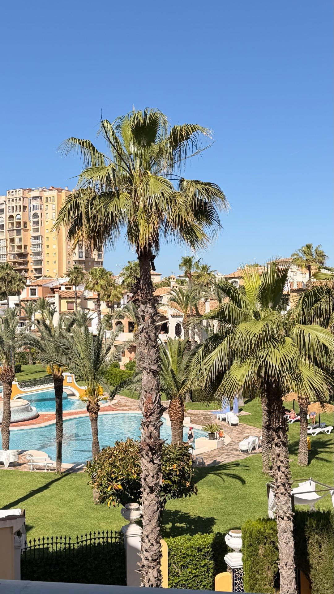 Garden in apartment for sale in Torrevieja