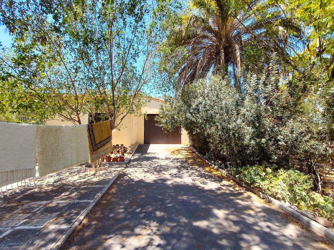 Pool area in villa for sale in Elche