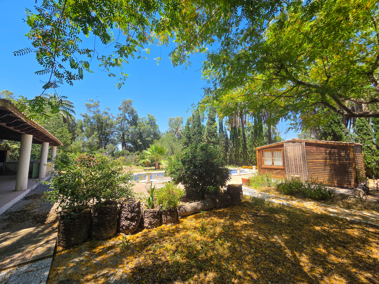 Garden in villa for sale in Elche