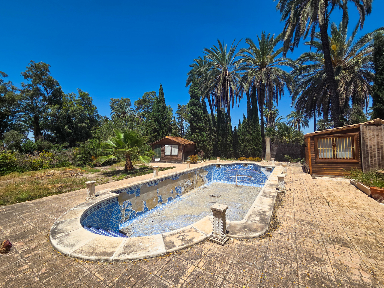 Exterior view in villa for sale in Elche
