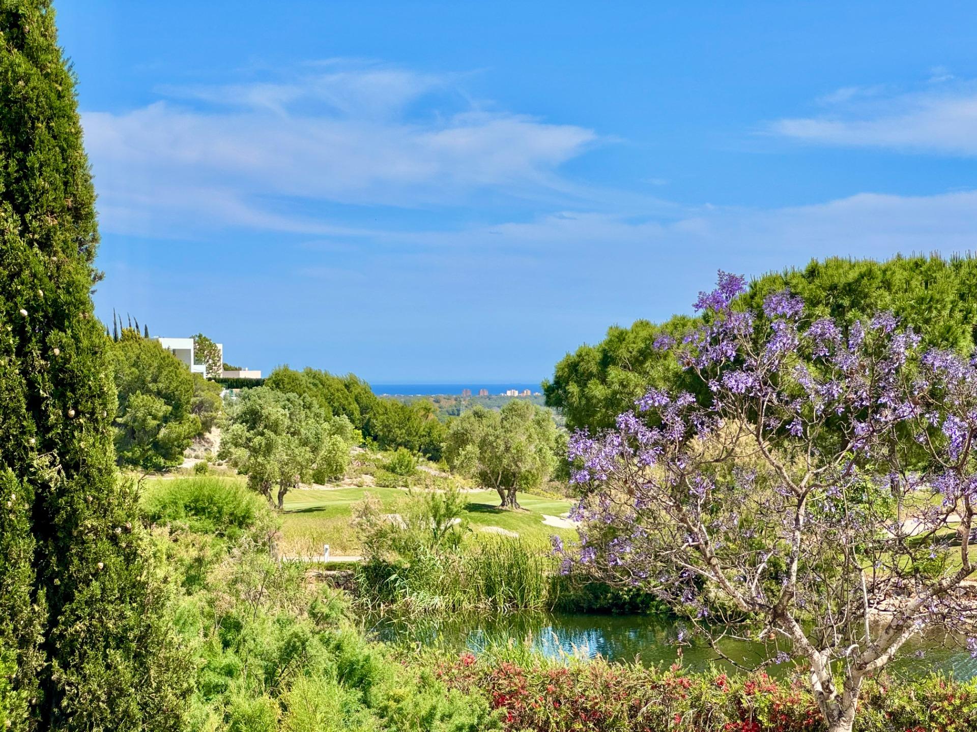 Garden in villa for sale in Orihuela