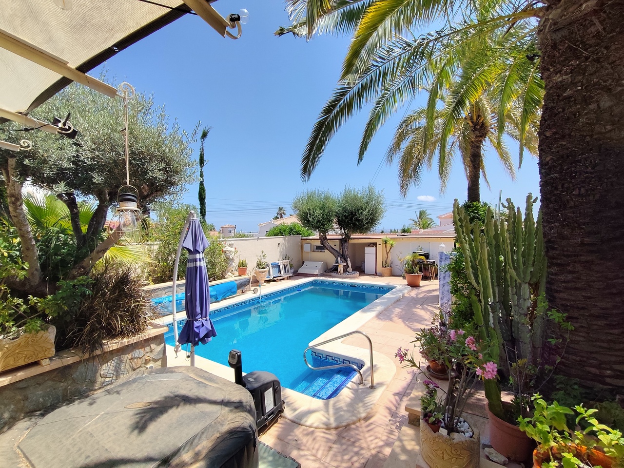 Garden in villa for sale in Ciudad Quesada