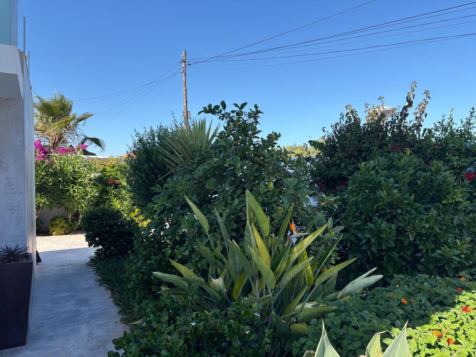 Kitchen in villa for sale in Torrevieja