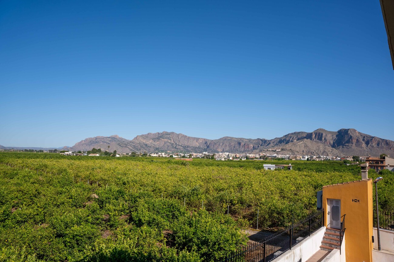 Terrace in finca for sale in Orihuela