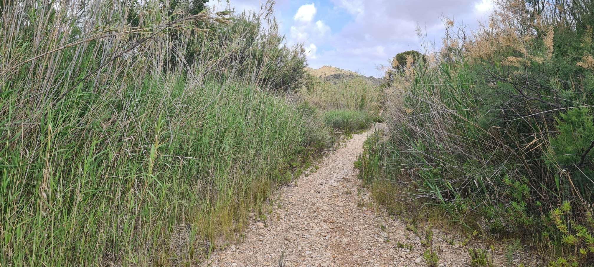 Unikt Landskab i Hjerte af Murcia: 7 Tomter med Potentiale