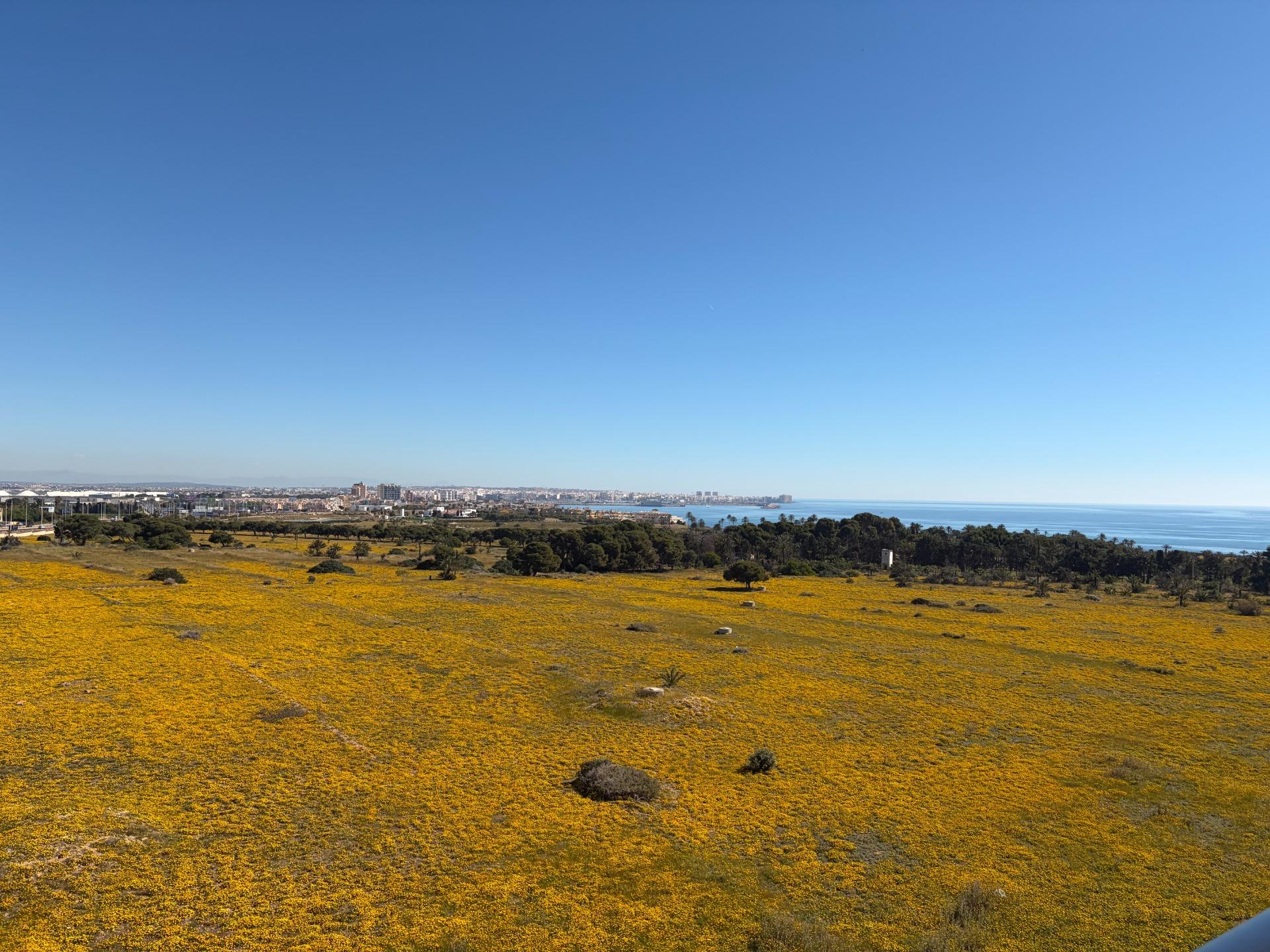 Exterior view in penthouse for sale in Torrevieja