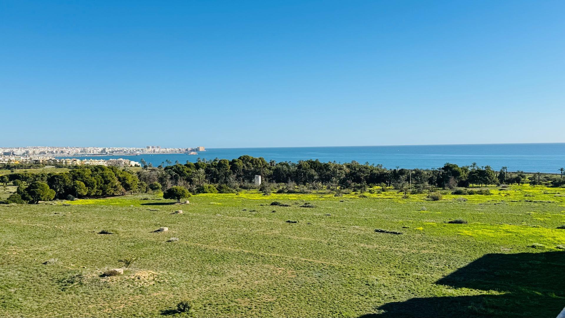 Pool area in penthouse for sale in Torrevieja