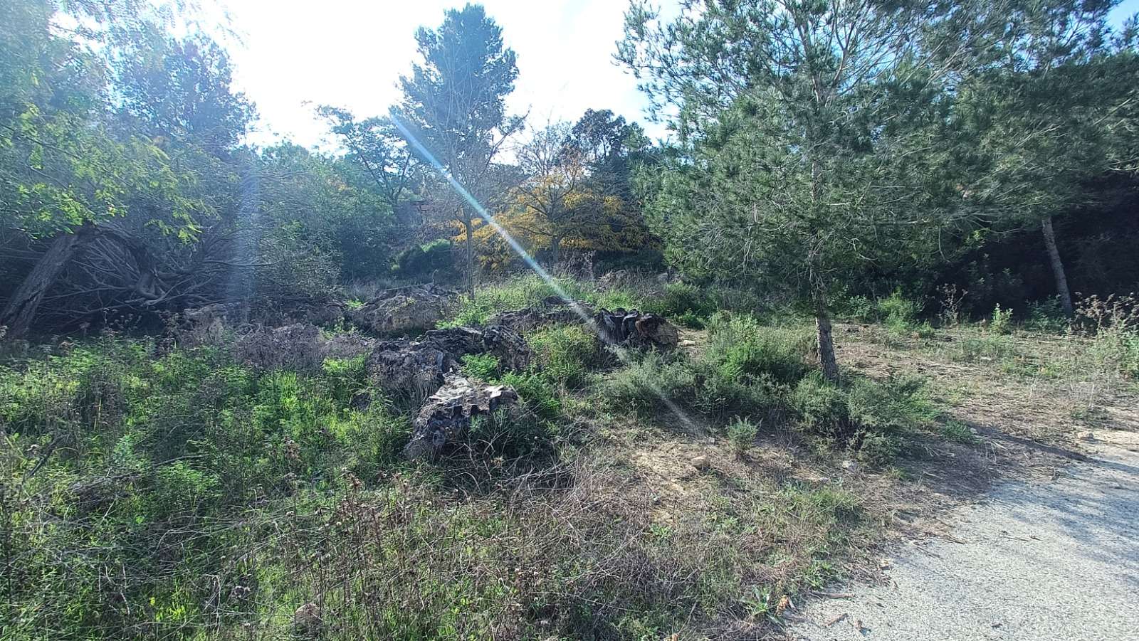Exterior view in finca for sale in Gea Y Truyols