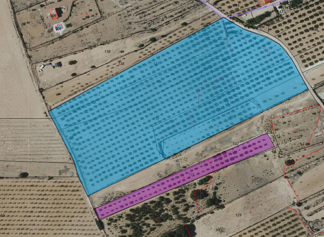 Exterior view in land for sale in Monóvar/Monóver