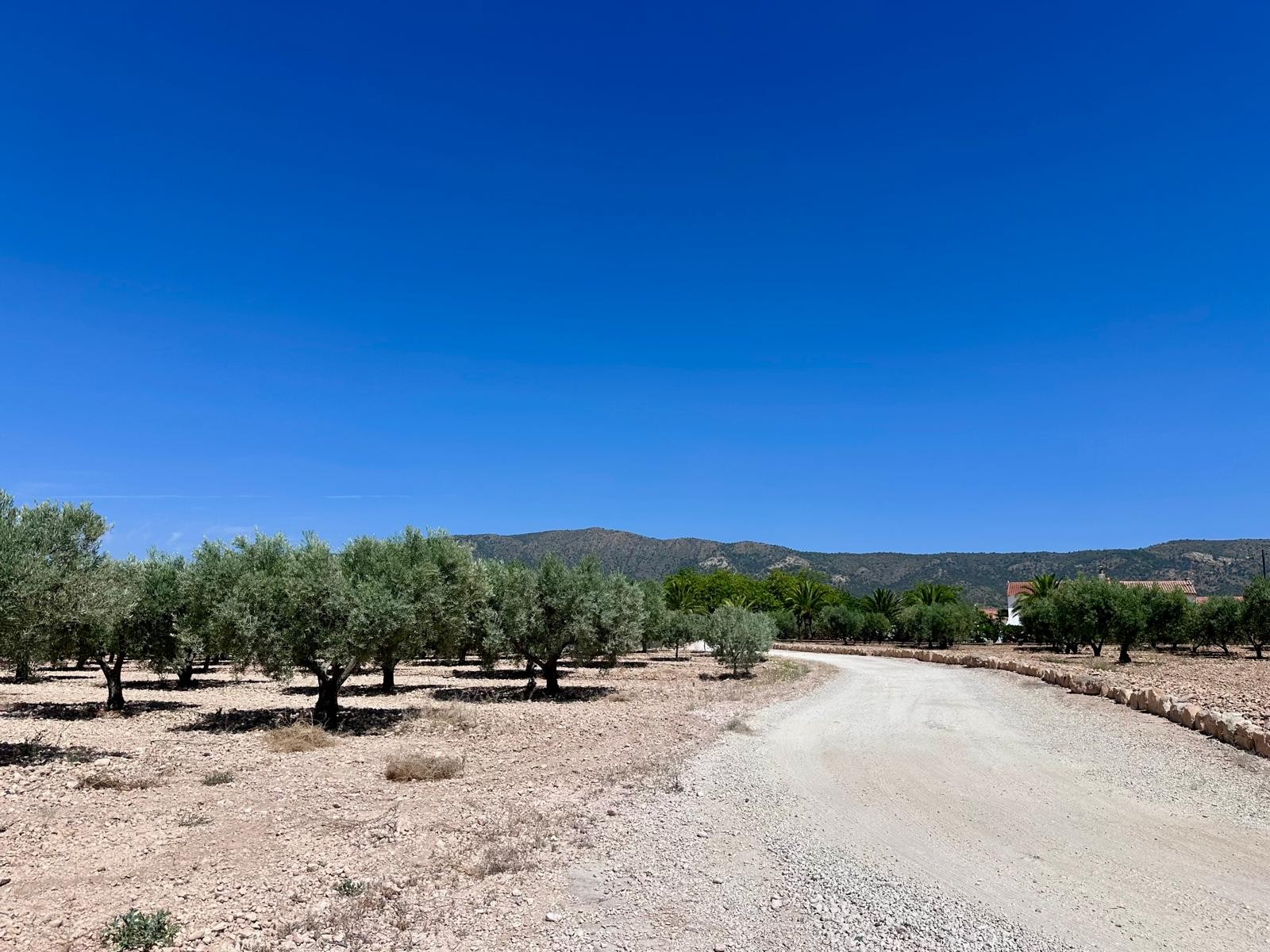 Pool area in land for sale in Monóvar/Monóver